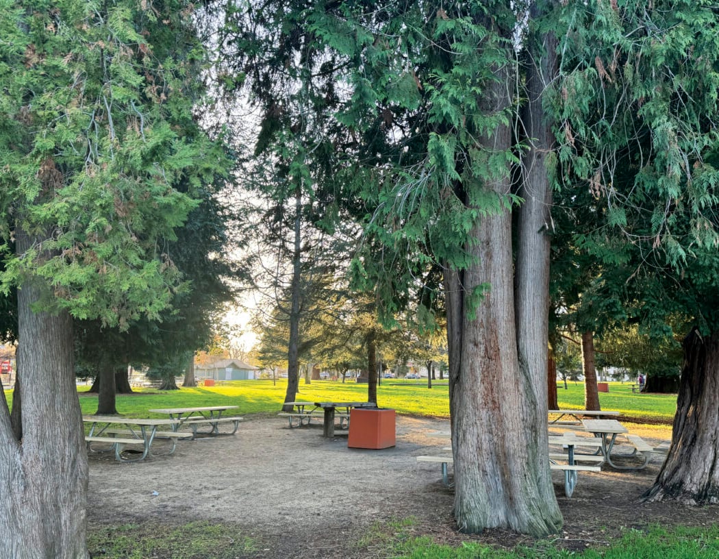 Fuller Park 5